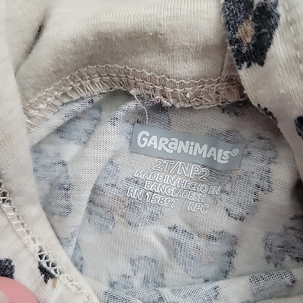 Garanimals Toddler Girl's Set